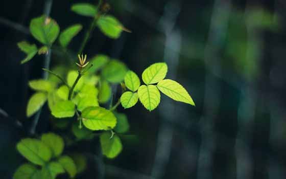 全球金融战开打，哪些国家最先倒下？，暴风骤雨将至