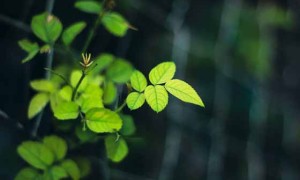 全球金融战开打，哪些国家最先倒下？，暴风骤雨将至